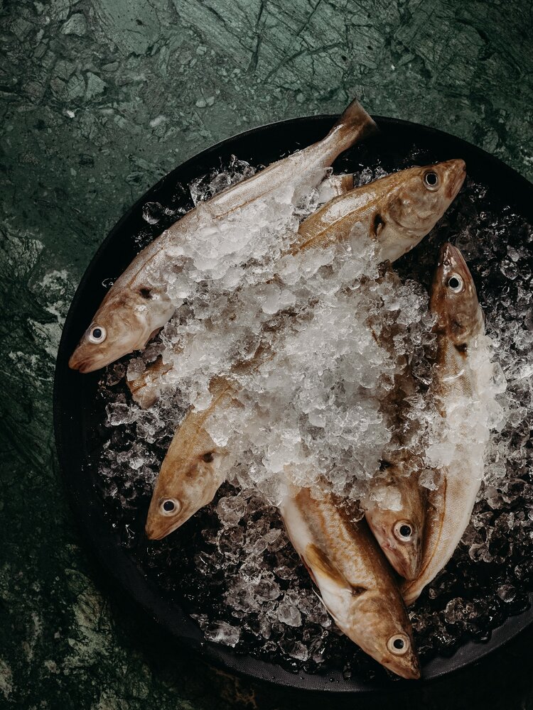 Poisson de la criée de St jean de Luz que nous cuisinons pour vous dans notre restaurant Bayonne centre. La Brasserie BASA est un des restaurant Bayonne où vous trouverez le plus de choix en matière de poissons et de fruits de mer, un restaurant poisson Bayonne et un restaurant fruit de mer Bayonne qui mettent à l'honneur au fil des arrivages le travail des pécheurs locaux.